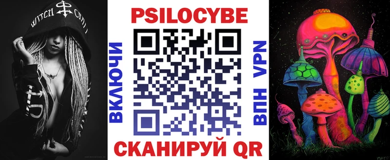 Купить где  Красный Сулин  Псилоцибиновые грибы мицелий 